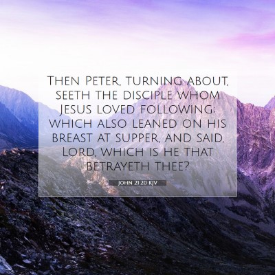 Picture 07 - John 21:20 KJV - Then Peter, turning about, seeth the disciple - Bible Verse Picture