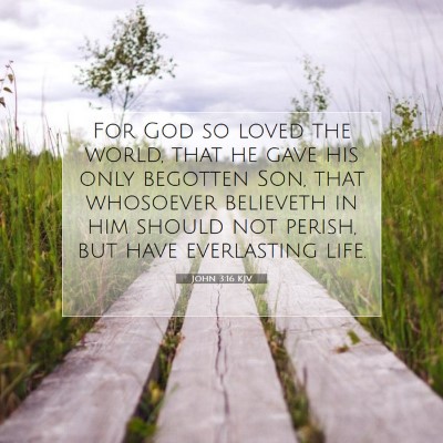Picture 07 - John 3:16 KJV - For God so loved the world, that he gave his only - Bible Verse Picture