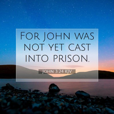 Picture 07 - John 3:24 KJV - For John was not yet cast into - Bible Verse Picture