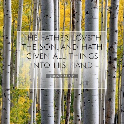 Picture 07 - John 3:35 KJV - The Father loveth the Son, and hath given all - Bible Verse Picture