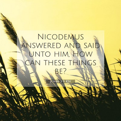 Picture 07 - John 3:9 KJV - Nicodemus answered and said unto him, How can - Bible Verse Picture