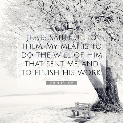 Picture 07 - John 4:34 KJV - Jesus saith unto them, My meat is to do the will - Bible Verse Picture