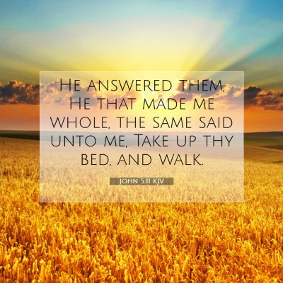 Picture 07 - John 5:11 KJV - He answered them, He that made me whole, the same - Bible Verse Picture