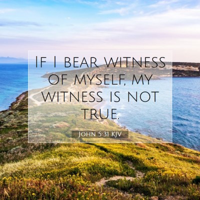 Picture 07 - John 5:31 KJV - If I bear witness of myself, my witness is not - Bible Verse Picture