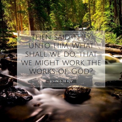 Picture 07 - John 6:28 KJV - Then said they unto him, What shall we do, that - Bible Verse Picture