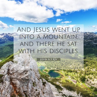 Picture 07 - John 6:3 KJV - And Jesus went up into a mountain, and there he - Bible Verse Picture
