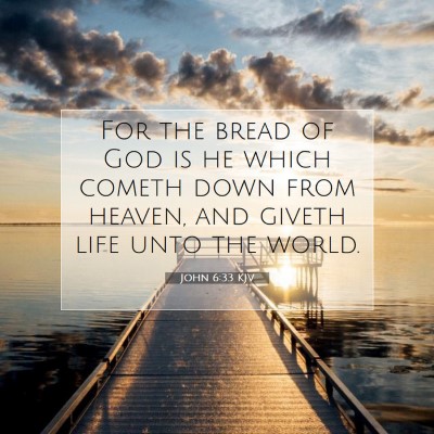 Picture 07 - John 6:33 KJV - For the bread of God is he which cometh down from - Bible Verse Picture