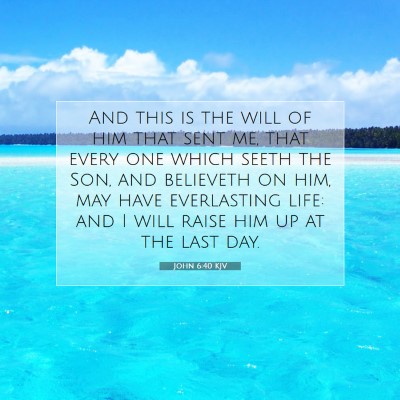 Picture 07 - John 6:40 KJV - And this is the will of him that sent me, that - Bible Verse Picture