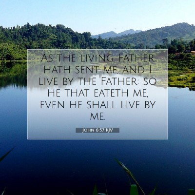 Picture 07 - John 6:57 KJV - As the living Father hath sent me, and I live by - Bible Verse Picture