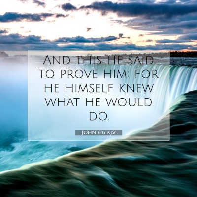 Picture 07 - John 6:6 KJV - And this he said to prove him: for he himself - Bible Verse Picture