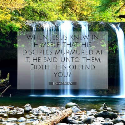 Picture 07 - John 6:61 KJV - When Jesus knew in himself that his disciples - Bible Verse Picture
