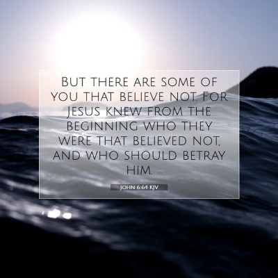 Picture 07 - John 6:64 KJV - But there are some of you that believe not. For - Bible Verse Picture