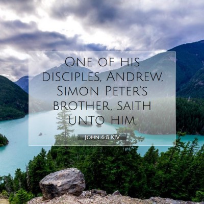 Picture 07 - John 6:8 KJV - One of his disciples, Andrew, Simon Peter's - Bible Verse Picture