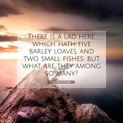 Picture 07 - John 6:9 KJV - There is a lad here, which hath five barley - Bible Verse Picture