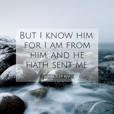 Picture 07 - John 7:29 KJV - But I know him: for I am from him, and he hath - Bible Verse Picture