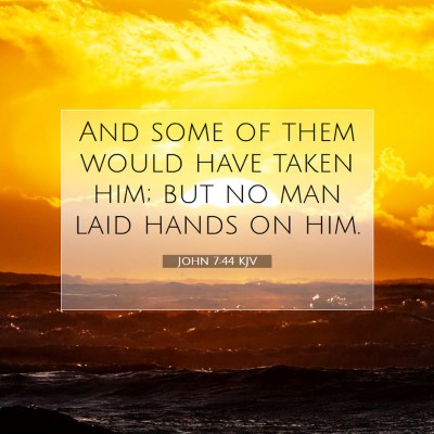 Picture 07 - John 7:44 KJV - And some of them would have taken him; but no man - Bible Verse Picture