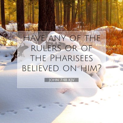 Picture 07 - John 7:48 KJV - Have any of the rulers or of the Pharisees - Bible Verse Picture