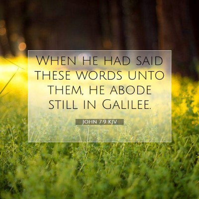 Picture 07 - John 7:9 KJV - When he had said these words unto them, he abode - Bible Verse Picture