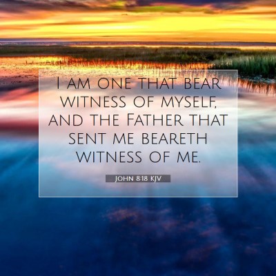 Picture 07 - John 8:18 KJV - I am one that bear witness of myself, and the - Bible Verse Picture