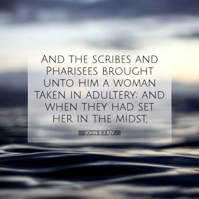 Picture 07 - John 8:3 KJV - And the scribes and Pharisees brought unto him a - Bible Verse Picture