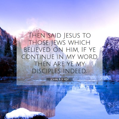 Picture 07 - John 8:31 KJV - Then said Jesus to those Jews which believed on - Bible Verse Picture