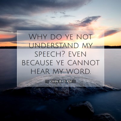 Picture 07 - John 8:43 KJV - Why do ye not understand my speech? even because - Bible Verse Picture