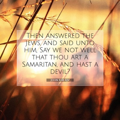Picture 07 - John 8:48 KJV - Then answered the Jews, and said unto him, Say we - Bible Verse Picture