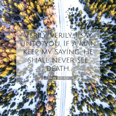 Picture 07 - John 8:51 KJV - Verily, verily, I say unto you, If a man keep my - Bible Verse Picture
