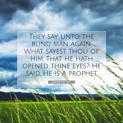 Picture 07 - John 9:17 KJV - They say unto the blind man again, What sayest - Bible Verse Picture