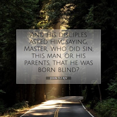Picture 07 - John 9:2 KJV - And his disciples asked him, saying, Master, who - Bible Verse Picture
