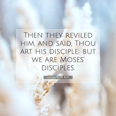 Picture 07 - John 9:28 KJV - Then they reviled him, and said, Thou art his - Bible Verse Picture