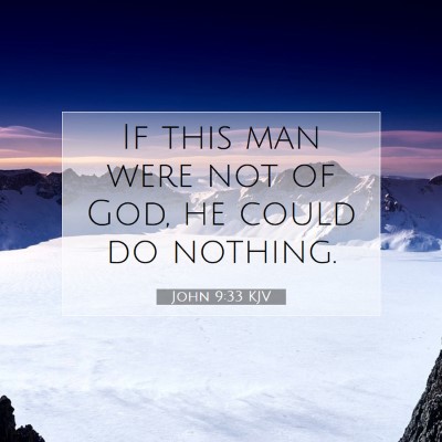 Picture 07 - John 9:33 KJV - If this man were not of God, he could do - Bible Verse Picture