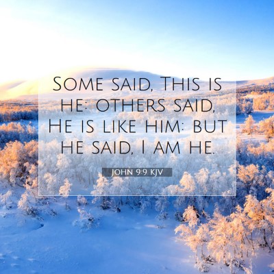 Picture 07 - John 9:9 KJV - Some said, This is he: others said, He is like - Bible Verse Picture