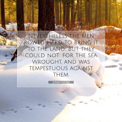 Picture 07 - Jonah 1:13 KJV - Nevertheless the men rowed hard to bring it to - Bible Verse Picture