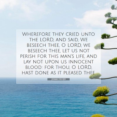 Picture 07 - Jonah 1:14 KJV - Wherefore they cried unto the LORD, and said, We - Bible Verse Picture