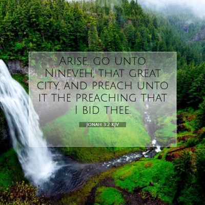Picture 07 - Jonah 3:2 KJV - Arise, go unto Nineveh, that great city, and - Bible Verse Picture