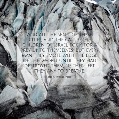 Picture 07 - Joshua 11:14 KJV - And all the spoil of these cities, and the - Bible Verse Picture