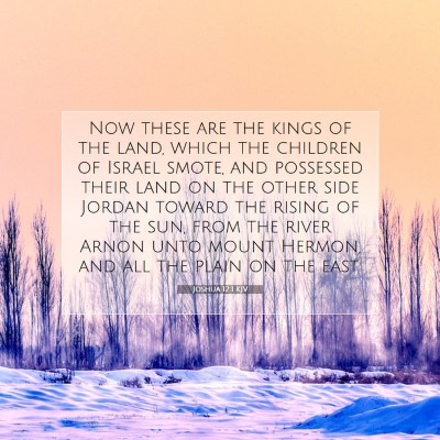 Picture 07 - Joshua 12:1 KJV - Now these are the kings of the land, which the - Bible Verse Picture
