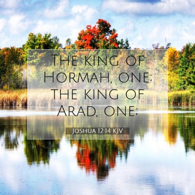 Picture 07 - Joshua 12:14 KJV - The king of Hormah, one; the king of Arad, - Bible Verse Picture