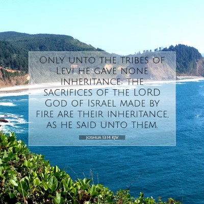 Picture 07 - Joshua 13:14 KJV - Only unto the tribes of Levi he gave none - Bible Verse Picture