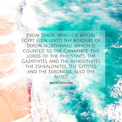 Picture 07 - Joshua 13:3 KJV - From Sihor, which is before Egypt, even unto the - Bible Verse Picture