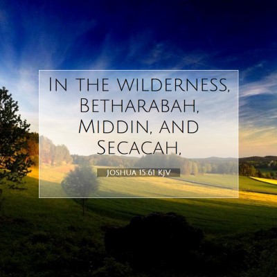 Picture 07 - Joshua 15:61 KJV - In the wilderness, Betharabah, Middin, and - Bible Verse Picture