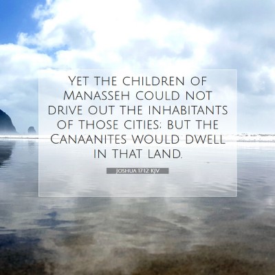 Picture 07 - Joshua 17:12 KJV - Yet the children of Manasseh could not drive out - Bible Verse Picture