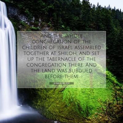 Picture 07 - Joshua 18:1 KJV - And the whole congregation of the children of - Bible Verse Picture