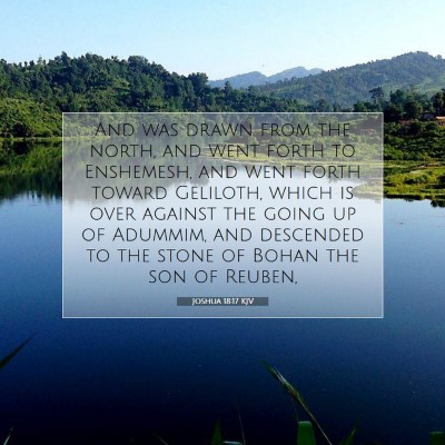 Picture 07 - Joshua 18:17 KJV - And was drawn from the north, and went forth to - Bible Verse Picture
