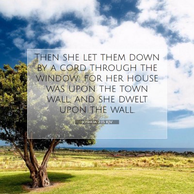 Picture 07 - Joshua 2:15 KJV - Then she let them down by a cord through the - Bible Verse Picture