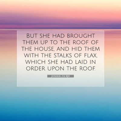 Picture 07 - Joshua 2:6 KJV - But she had brought them up to the roof of the - Bible Verse Picture