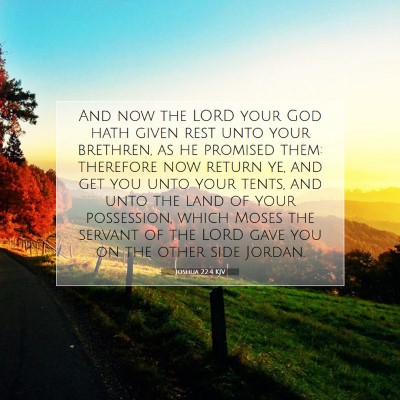 Picture 07 - Joshua 22:4 KJV - And now the LORD your God hath given rest unto - Bible Verse Picture