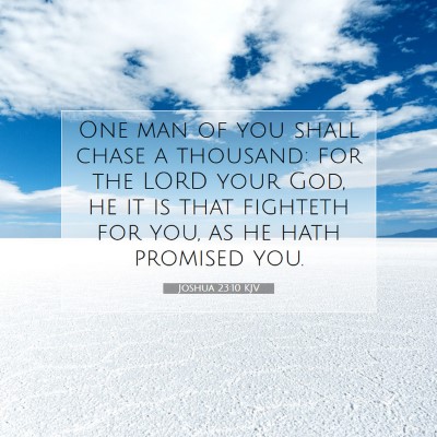 Picture 07 - Joshua 23:10 KJV - One man of you shall chase a thousand: for the - Bible Verse Picture