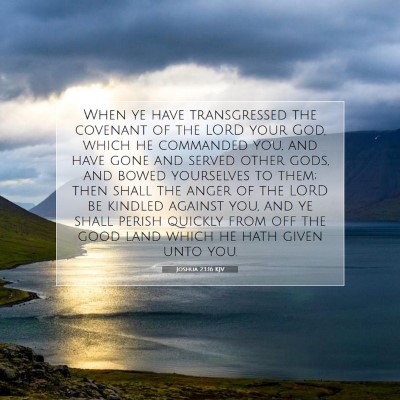 Picture 07 - Joshua 23:16 KJV - When ye have transgressed the covenant of the - Bible Verse Picture
